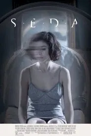 Silk movie poster