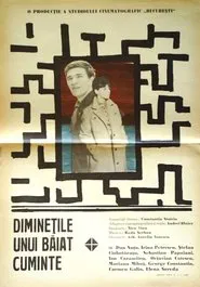 The Mornings of a Sensible Youth movie poster