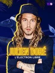 Julien Doré, l'électron libre movie poster