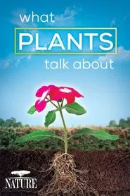 What Plants Talk About movie poster