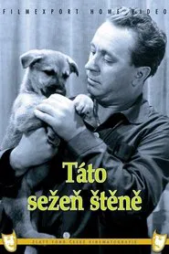 Táto sežeň štěně movie poster