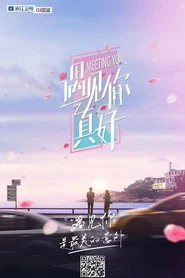遇见你真好 tv show poster