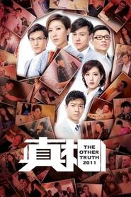 The Other Truth tv show poster