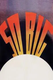 Poster do filme No Palco da Vida