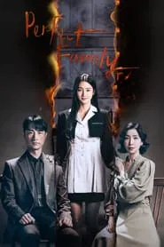 Perfect Family tv show poster