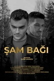 Şam Bağı movie poster