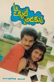 Poster do filme Aa Okkati Adakku