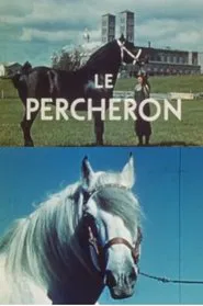 The Percheron movie poster