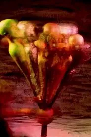 Poster do filme Populi