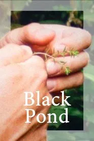 Poster do filme Black Pond
