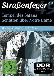 Schatten über Notre Dame tv show poster