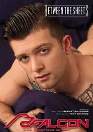 Between the Sheets movie poster