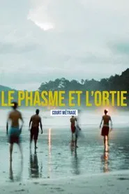 Le phasme et l'ortie movie poster