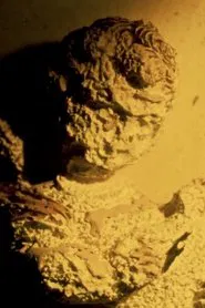 Niño monaguillo y sus pecados movie poster