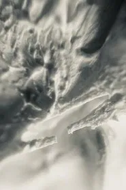 Rough Texture / Pilot Run movie poster