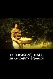 11 Donkeys Fall in an Empty Stomach movie poster