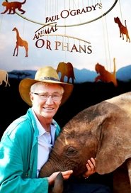 Paul O'Grady's Animal Orphans tv show poster