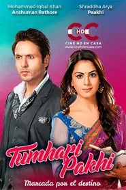 Tumhari Pakhi tv show poster