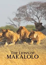The Lions of Makalolo movie poster