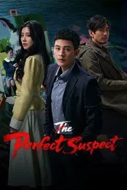 The Perfect Suspect tv show poster