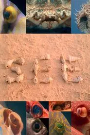 SEE movie poster