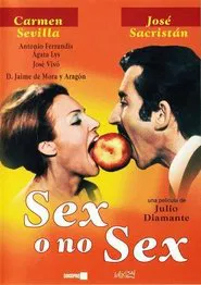 Sex o no sex movie poster