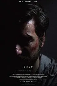 B309 movie poster