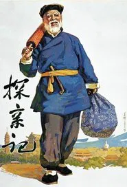 探亲记 movie poster
