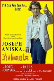 It's a Wondrous Life movie poster