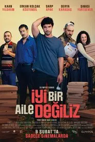 Not Your Average Family movie poster