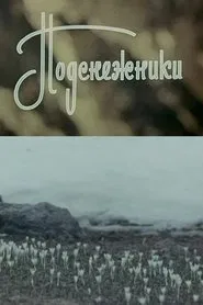 Snowdrops movie poster