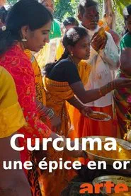 Indiens Kurkuma - Heilsam und heilig movie poster