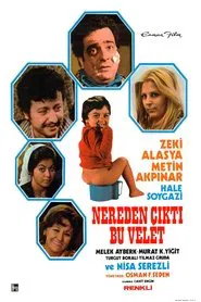 Nereden Çıktı Bu Velet movie poster