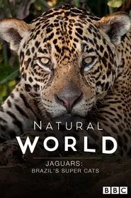 Poster do filme Jaguars: Brazil's Super Cats