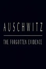 Auschwitz: The Forgotten Evidence movie poster
