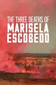 The Three Deaths of Marisela Escobedo movie poster