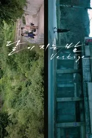 Poster do filme Vestige