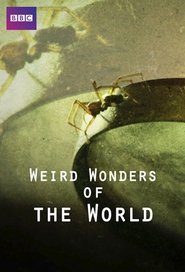 Weird Wonders of the World tv show poster