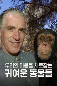 우리의 마음을 사로잡는 귀여운 동물들 tv show poster