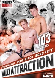 Wild Attraction movie poster