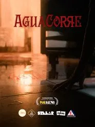 Poster do filme AGUA CORRE