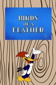 Birds of a Feather movie poster