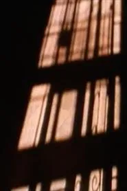 the willing voyeur... movie poster