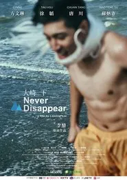 Never Disappear movie poster