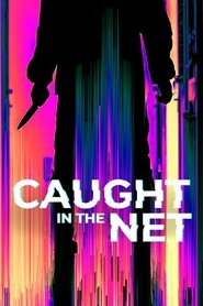 Caught in the Net tv show poster