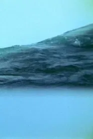 Translucent Appearances movie poster