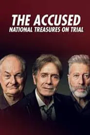 The Accused: National Treasures on Trial movie poster