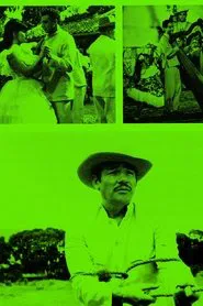 Poster do filme Más allá del Orinoco