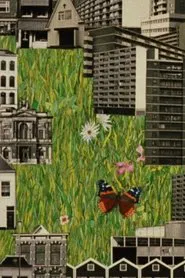 Butterfly R.I.P. 1975 movie poster