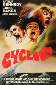Cyclone movie poster